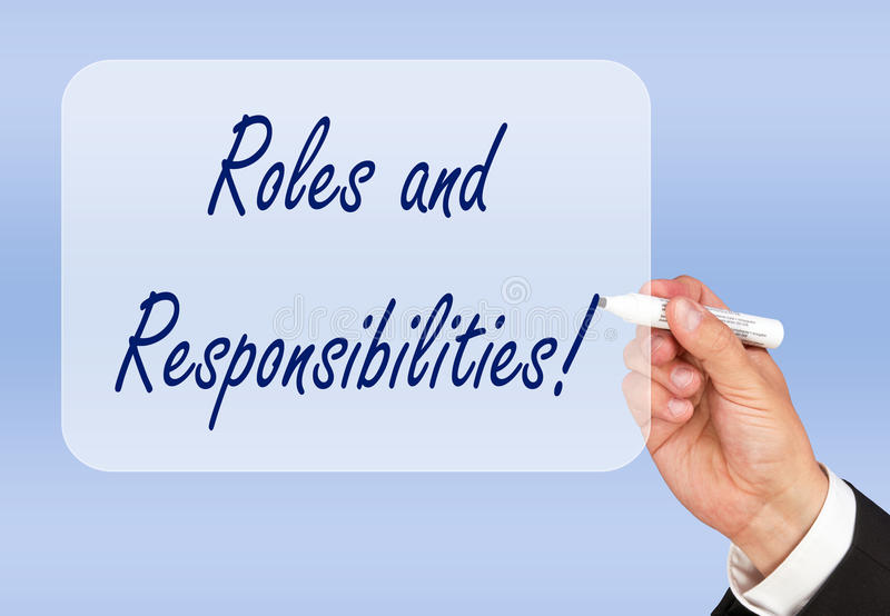 sap roles and responsibilities